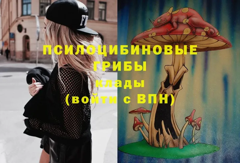 Галлюциногенные грибы Magic Shrooms  Андреаполь 